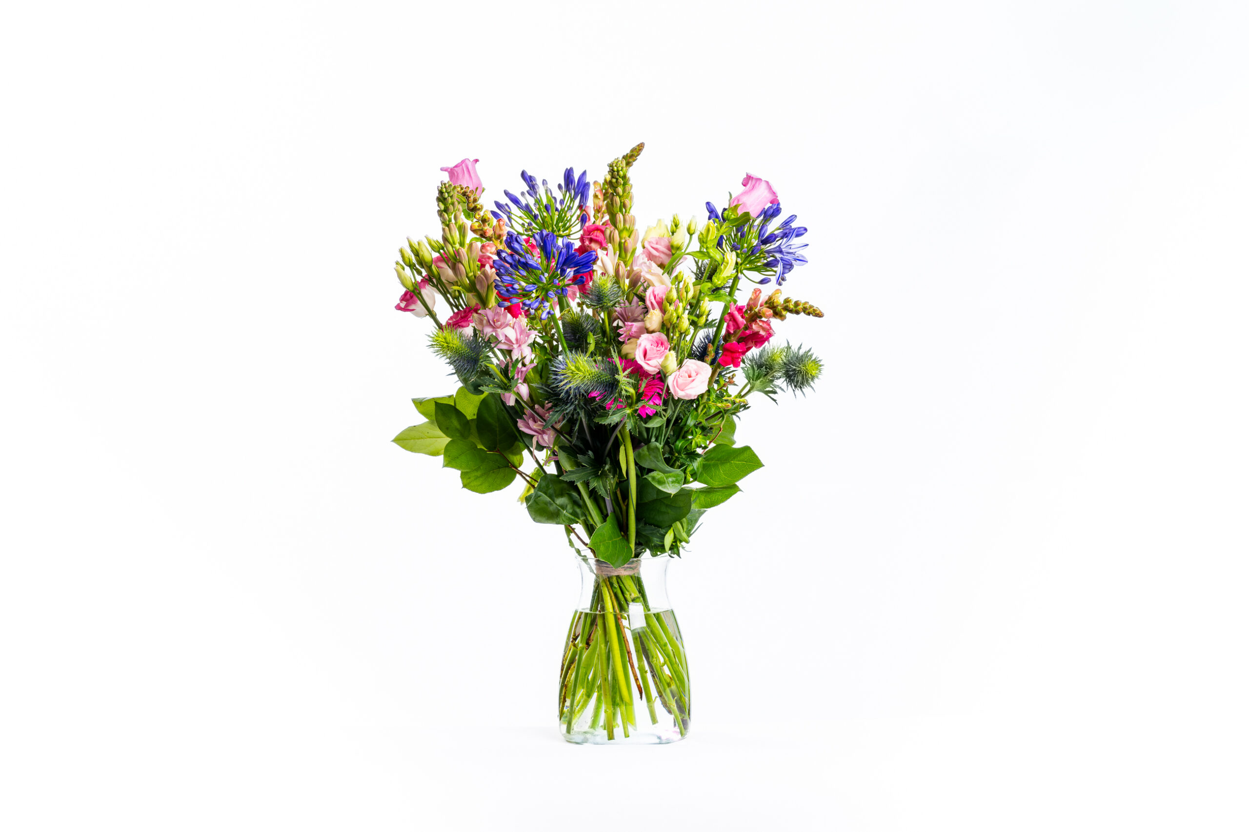 Lavendel